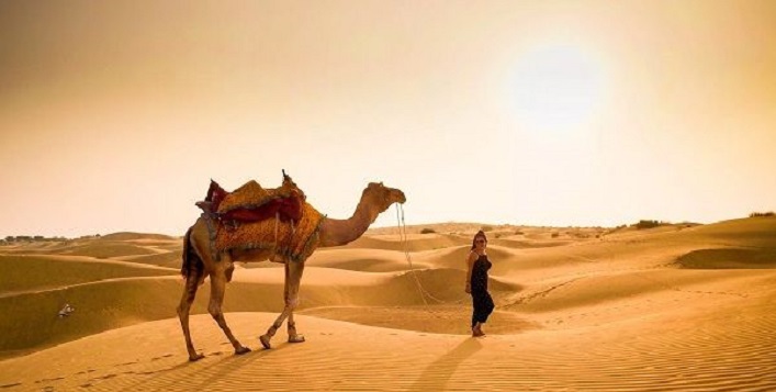 VIP Desert Safari with home pickup